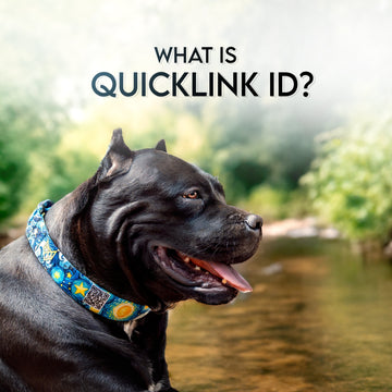 QuickLink ID™ by Petlantis : Short Video
