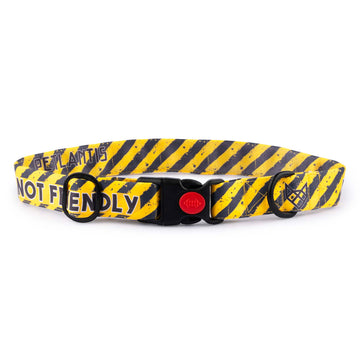 The Danger Zone Buckle Dog Collar With QuickLink