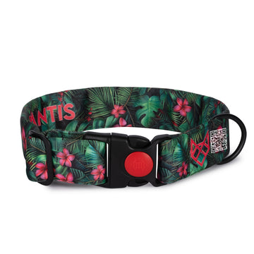 The Pink Paradise Buckle Dog Collar With QuickLink