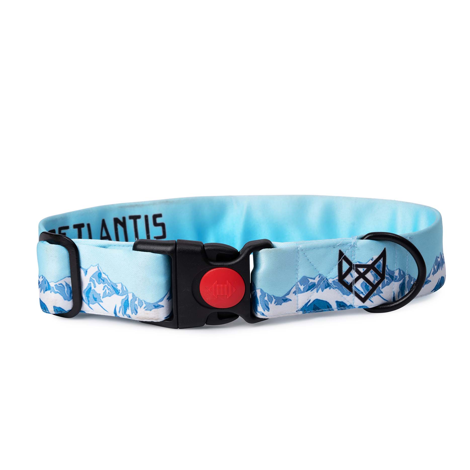 The Himalaya Spirit Buckle Dog Collar With QuickLink