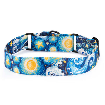 The Starry Nights Martingale Dog Collar With QuickLink
