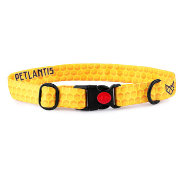 The Honey Hex Buckle Dog Collar With QuickLink