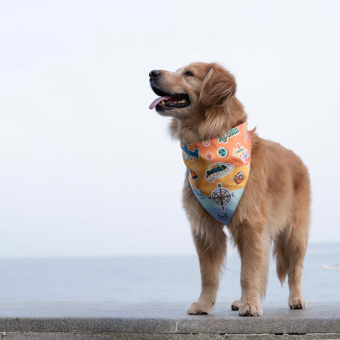 The Journey Begins Bandana